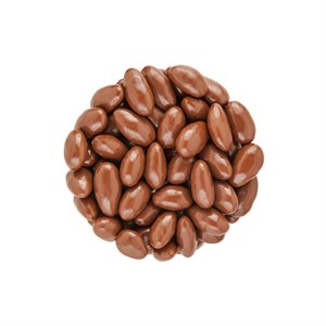 BULK VRAC Amandes enrobées Chocolate Covered Almonds (1x5kg)